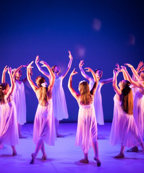 10. Sous les étoiles – Spectacle Art Dance © Diana M Photography (267)