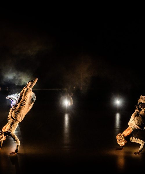 5. Sur le dancefloor – Spectacle Art Dance © Diana M Photography (103)