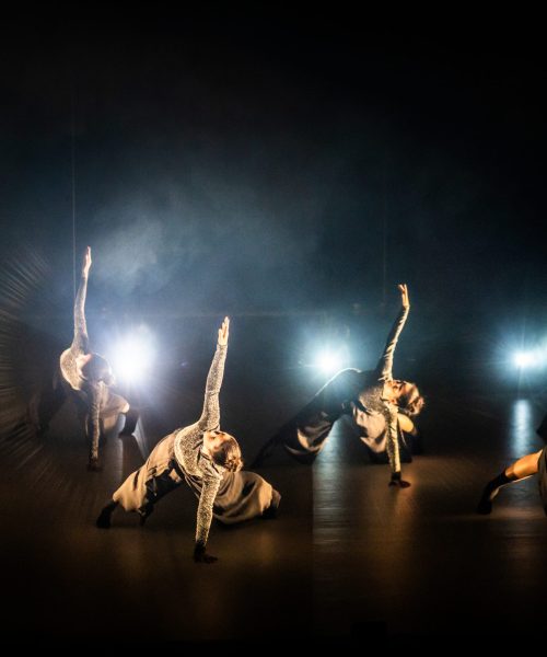 5. Sur le dancefloor – Spectacle Art Dance © Diana M Photography (123)