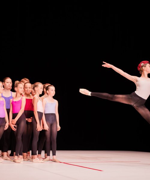 8. Passeport s&rsquo;il-vous-plait – Spectacle Art Dance © Diana M Photography (472)